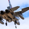 F-15DJ 30th Anniversary 