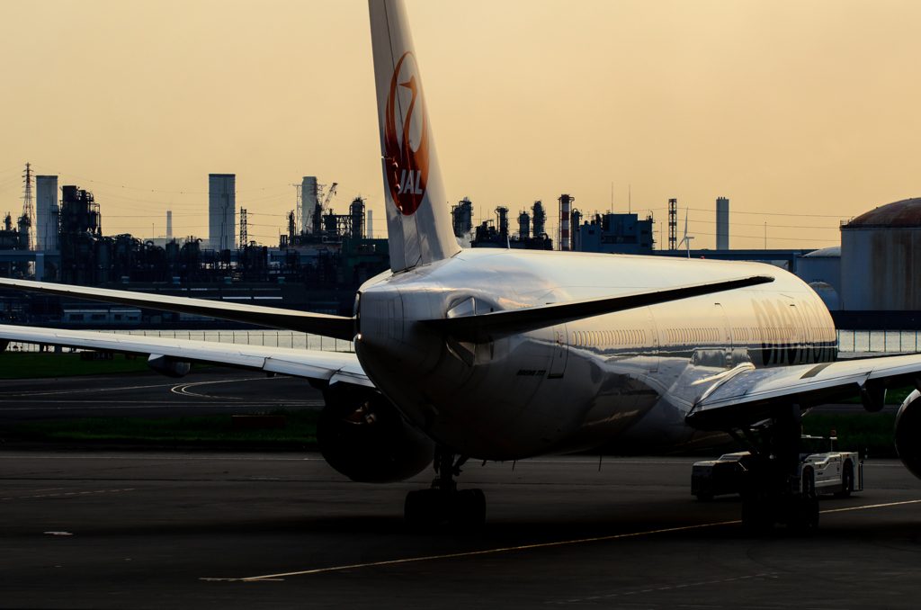 JAL B777 OneWorld