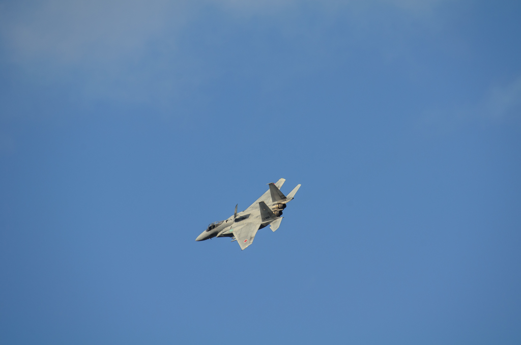 JASDF