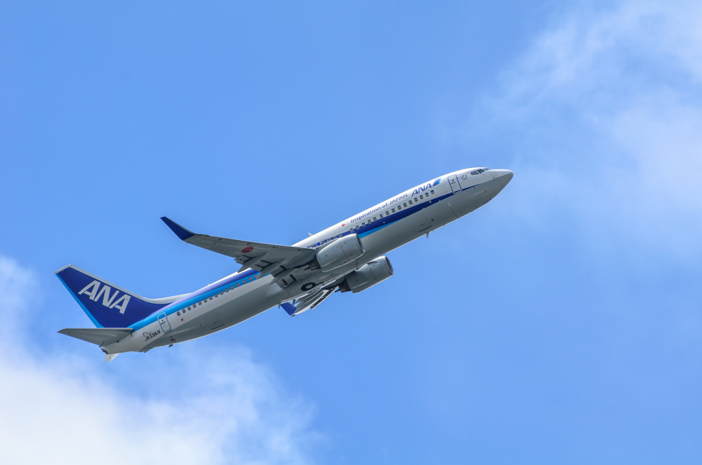 ANA 737