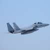 F-15DJ