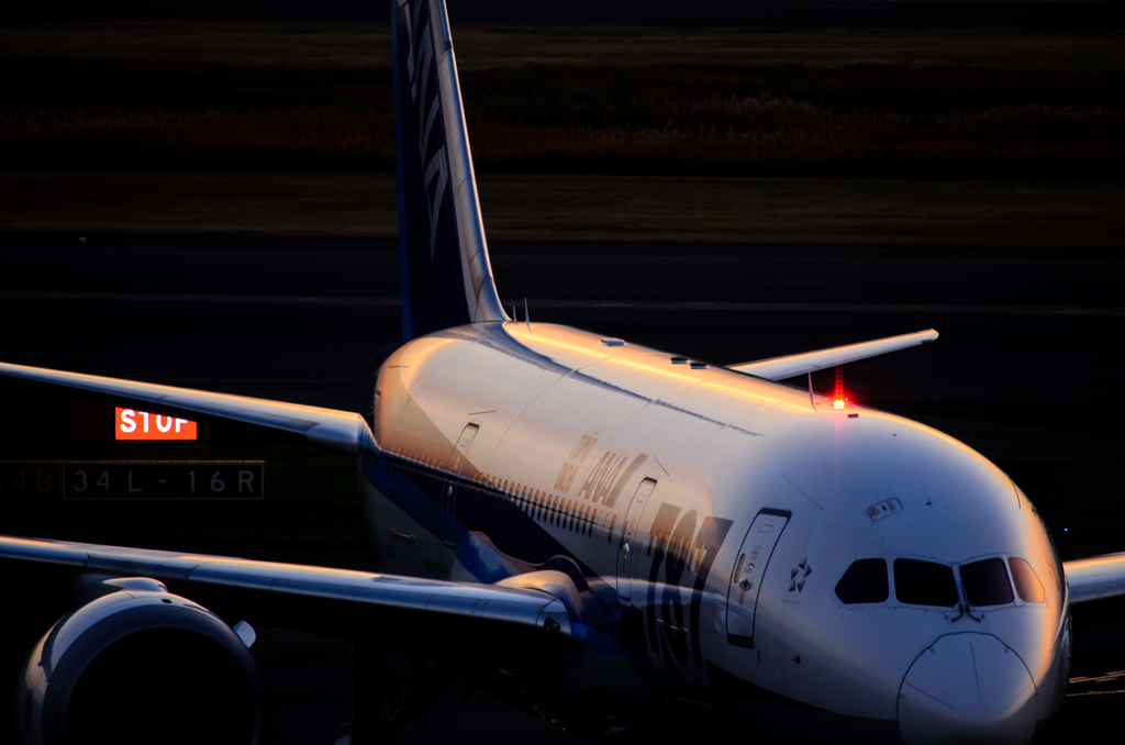 sunset 787