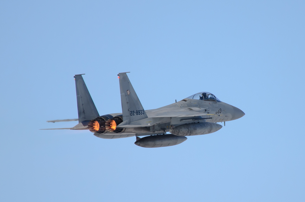 F-15J