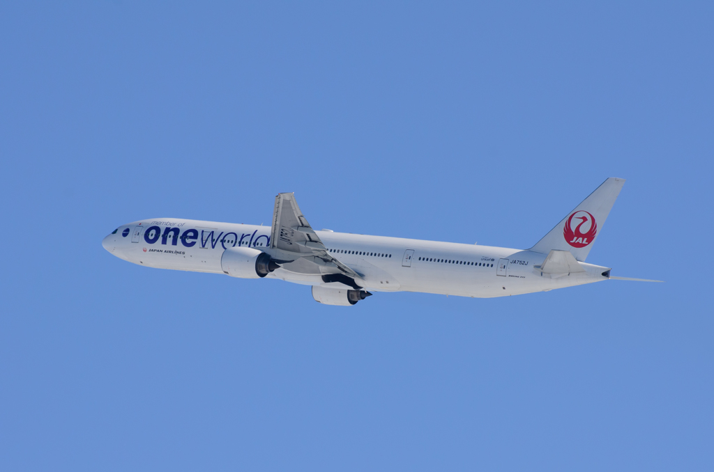 JAL one world 777