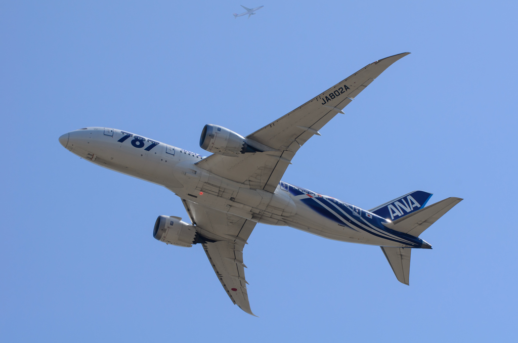 787