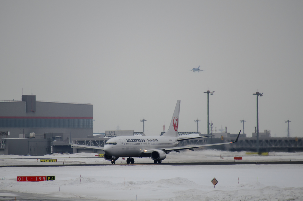 JASDF U-125A and JAL 737-800