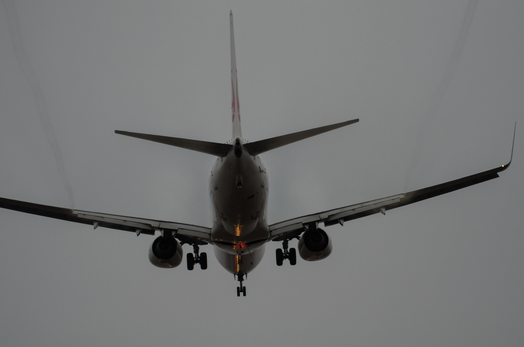 737