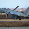 F-15DJ