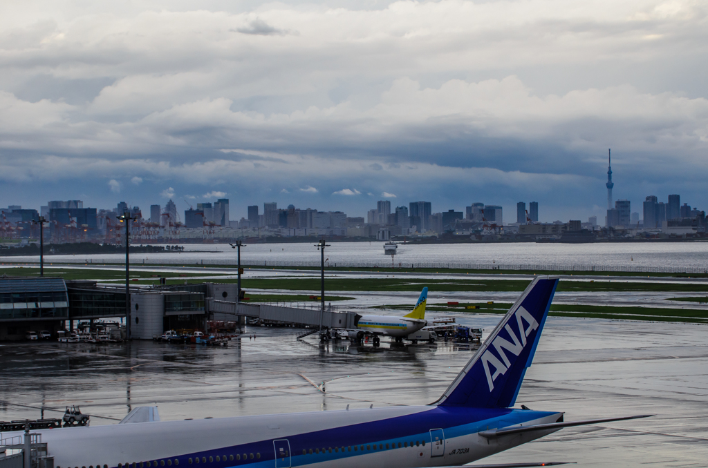 雨の東京