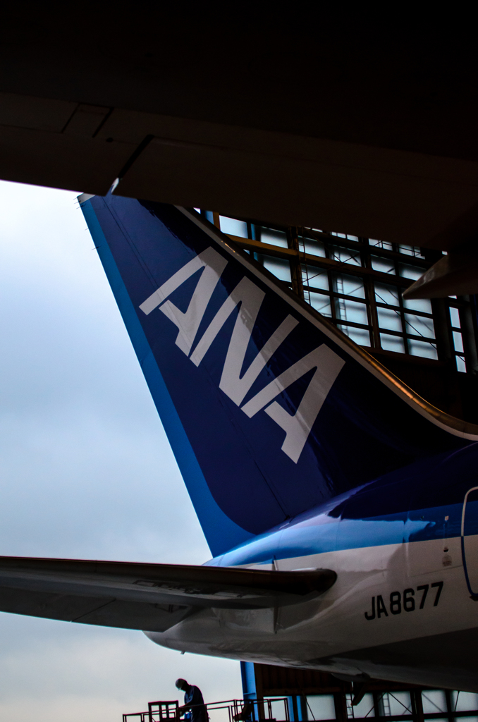 767