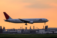 JAL B767