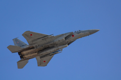 F-15J