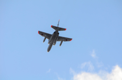 T-4