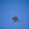 F-15J