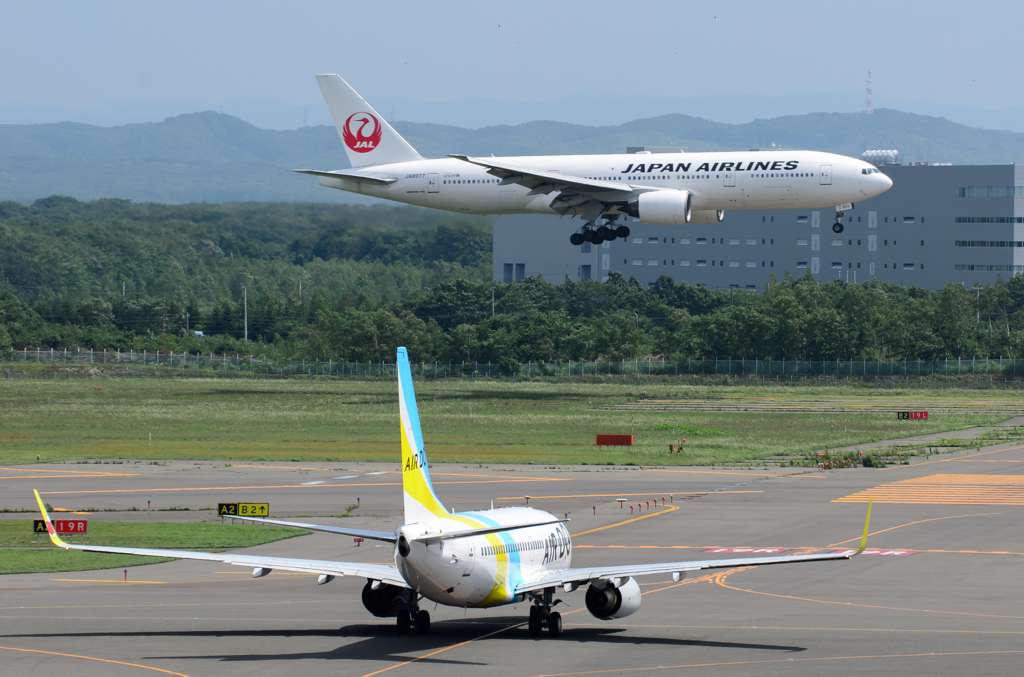 JAL 777, AIR DO 737