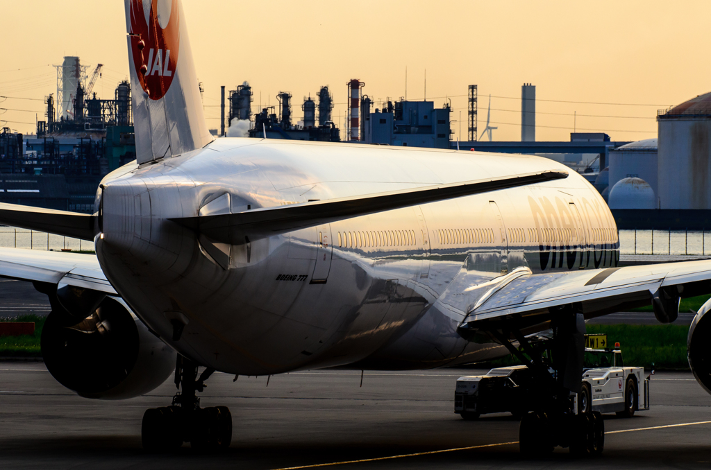 JAL B777