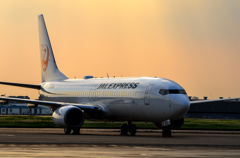 737