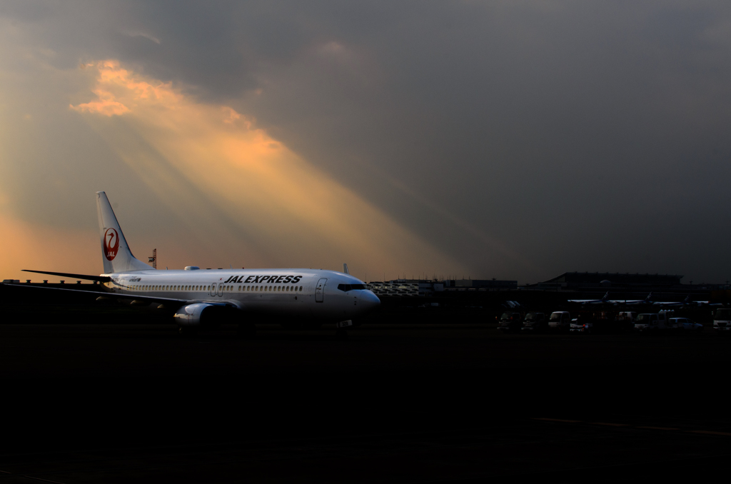 JAL B737