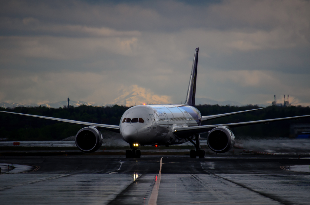 Thai Airways Boeing 787