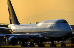 黄金色に輝く Lufthansa 747-8