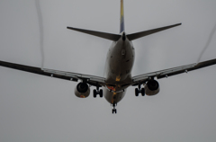 737