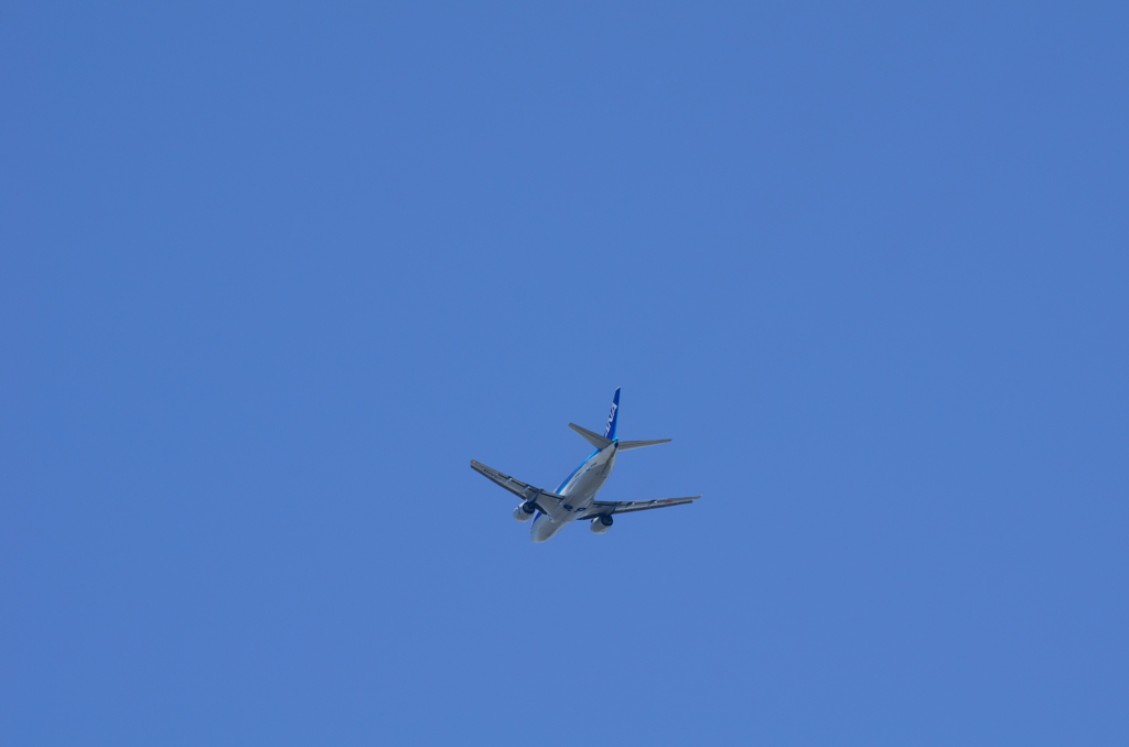 737