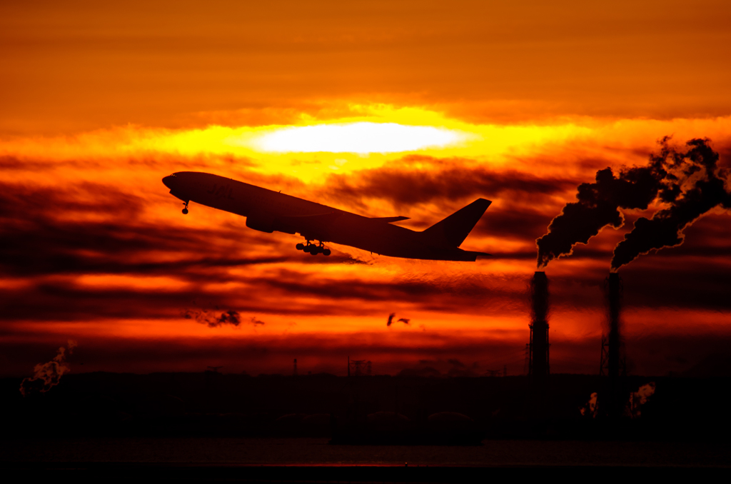 morning jal 777