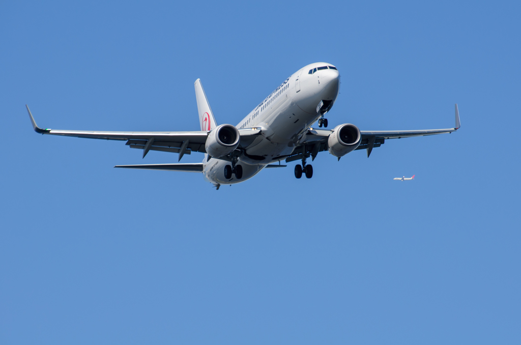 JAL B737