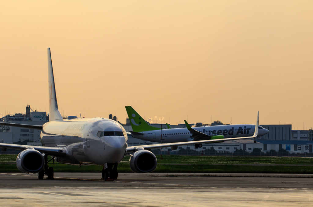 737