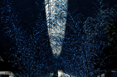 blue