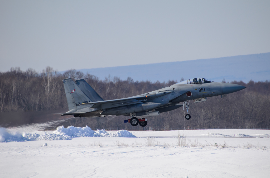 F-15J