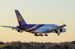 Thai Airways Airbus A380 (4/6)