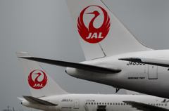 JAL767 JAL767