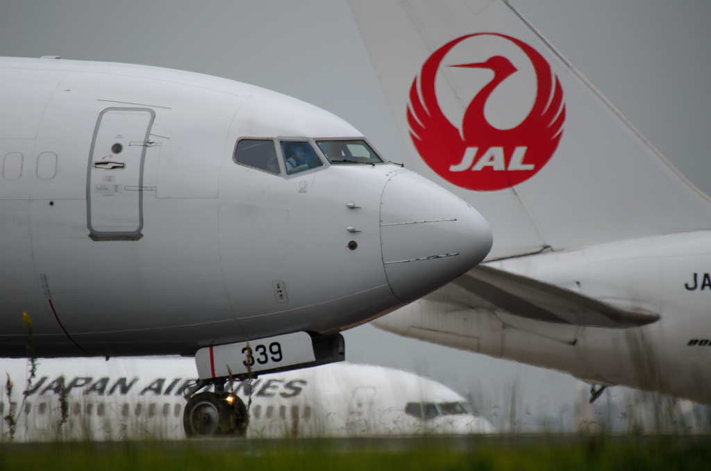 JAPAN AIRLINES