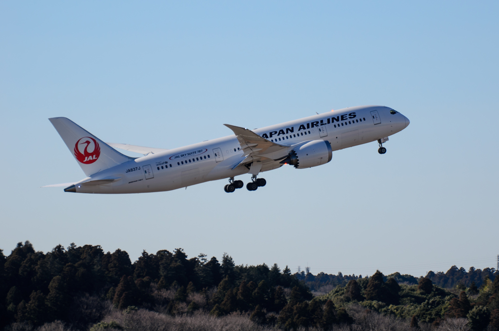 JAL 787