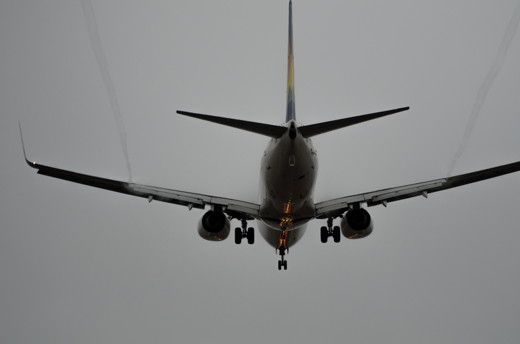 737