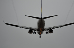 737