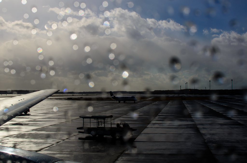 雨上がり