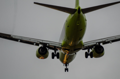 jin air