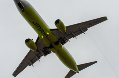 jin air