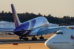 Thai Airways Airbus A380 (6/6)