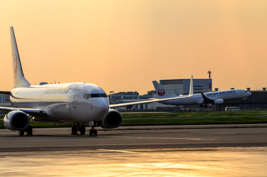 737 737