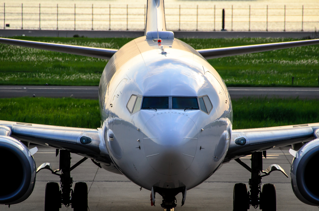 JAL B737