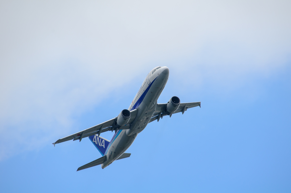 ANA A320