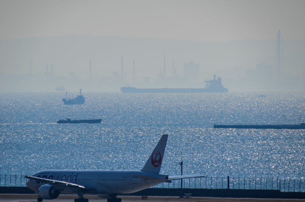海
