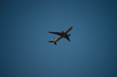 777