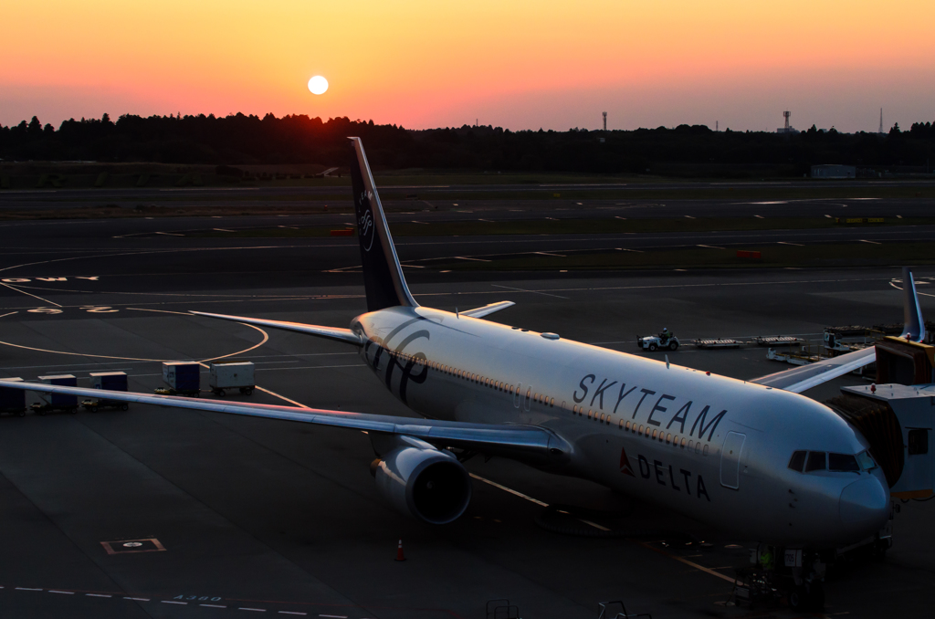 今日の成田空港