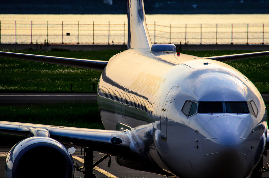 JAL B737