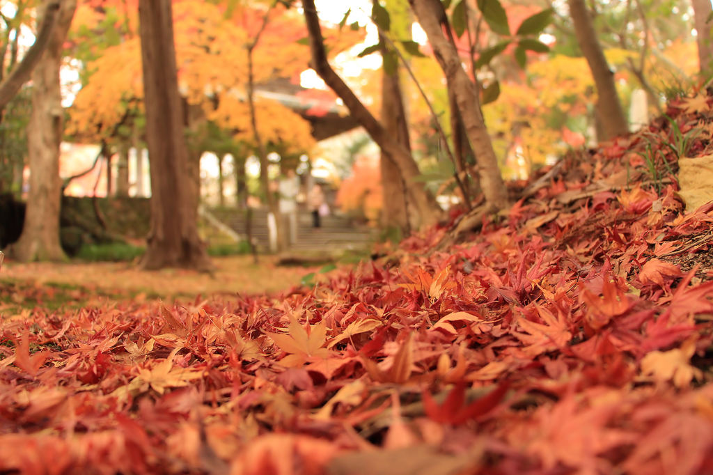 功山寺