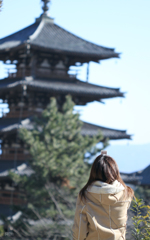 ガラパゴス携帯　と　文化遺産